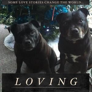 Meet your Posher, Vicki